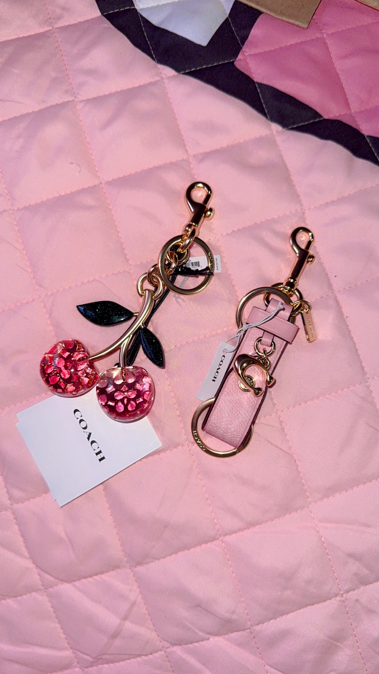 Trigger Snap Bag Charm In Signature Canvas | Accessories | Coach