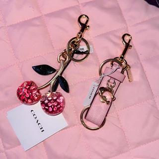 Trigger Snap Bag Charm In Signature Canvas | Accessories | Coach