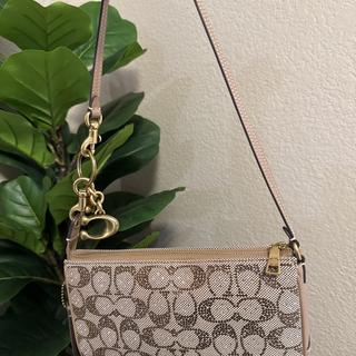Coach | Brain Dead Plaza Bag In Signature Jacquard | Wristlets