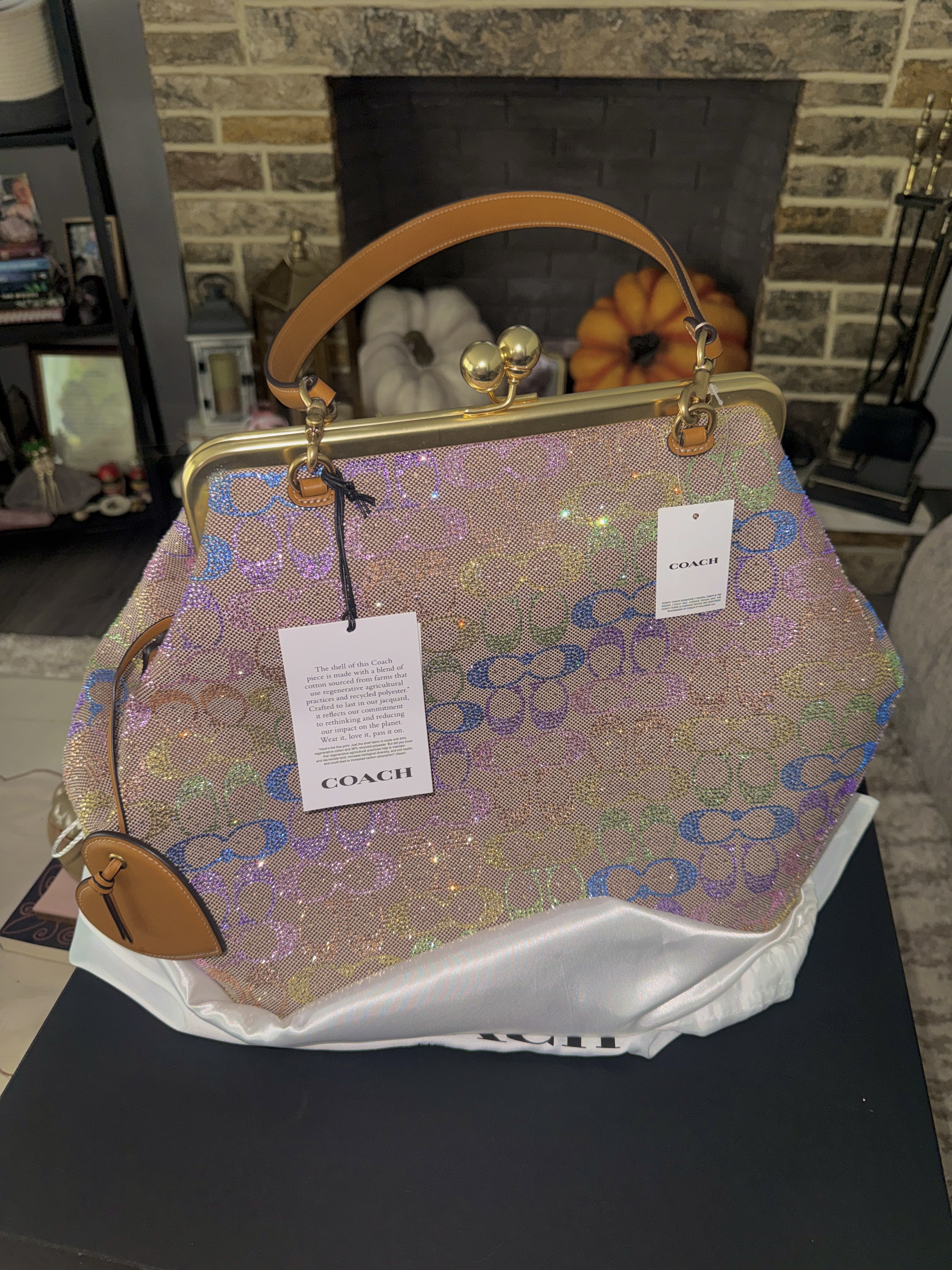 Large Kisslock Frame Bag | COACH®