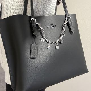 SWAGGERシルバーリング　ポーチ付き Silver Swagger Chain With Charms | Accessories | Coach | COACH®