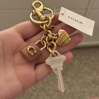Key Cluster Bag Charm | Accessories | Coach | COACH®