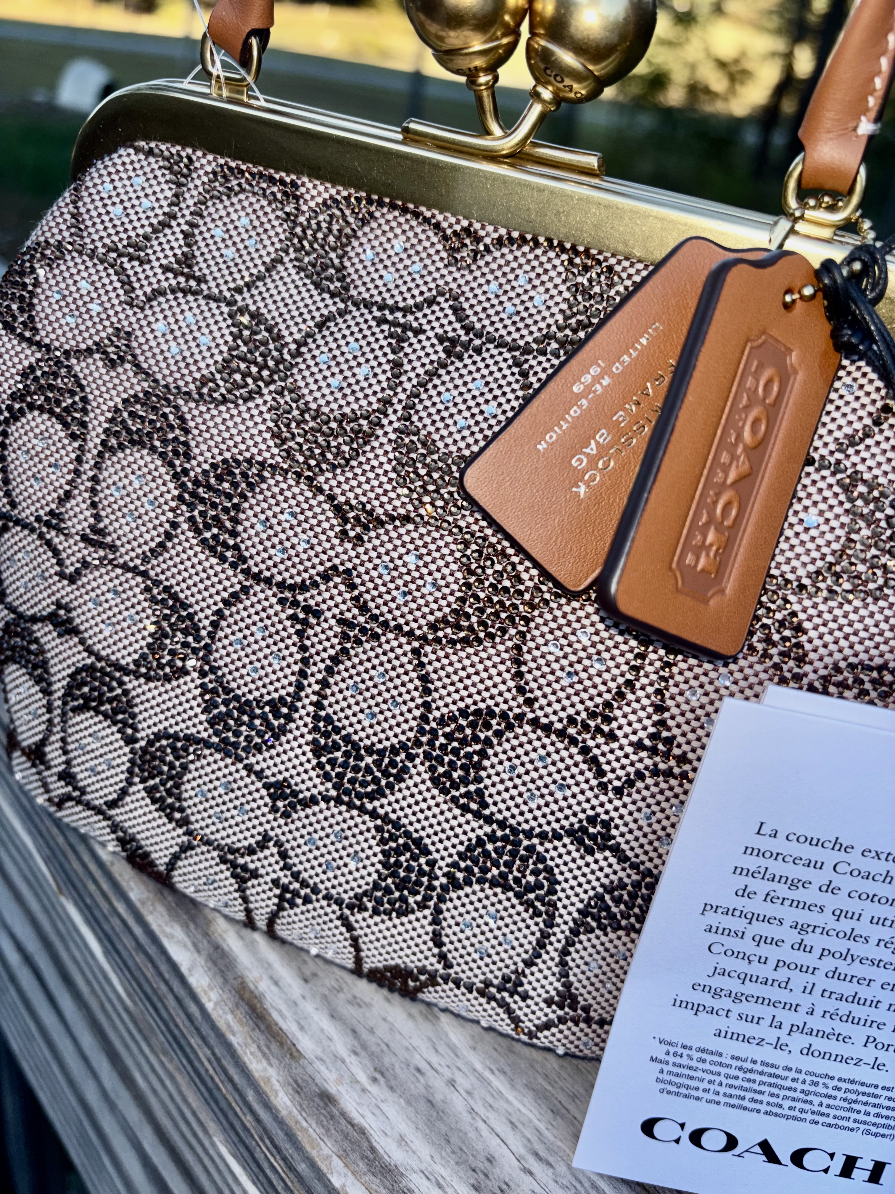 Disney X Coach Kisslock Frame Bag With Pluto | Bags | Coach | COACH®