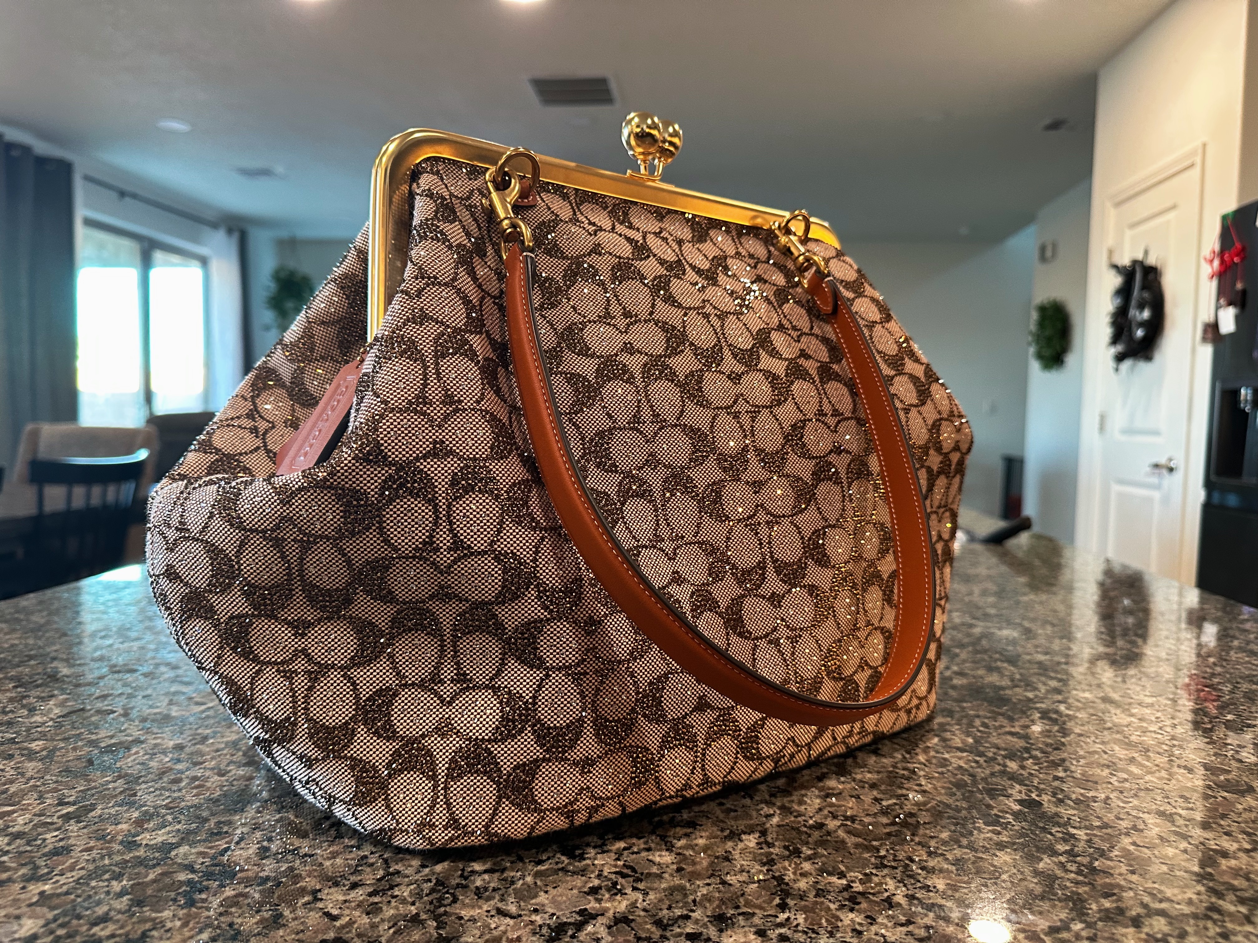 バッグ Coach Poppy Bird Feathers Kiss Lock Bag Coach Poppy Bird