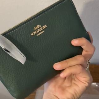 Double Corner Zip Wristlet In Colorblock Leather | COACH®
