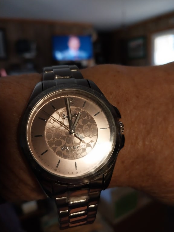 Libby Watch, 37 Mm | COACH® display picture 3