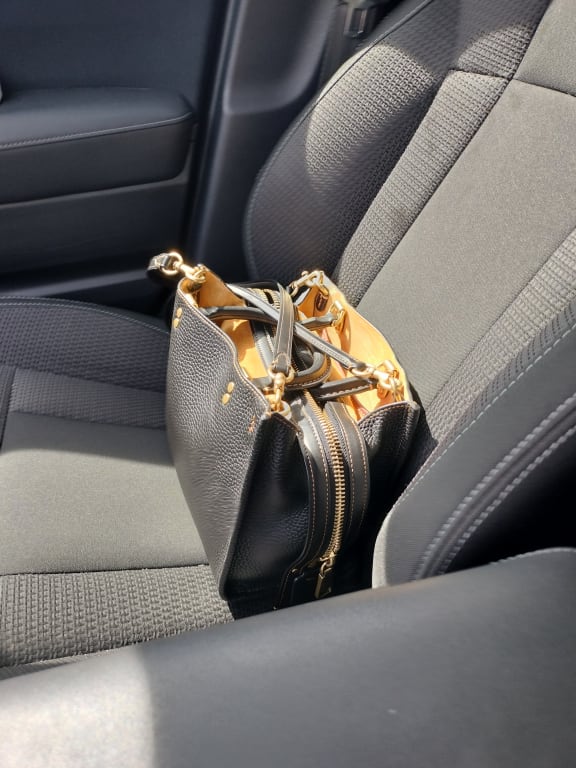 Coach X Kōki, Rogue Bag 25 In Original Natural Leather With Daisy