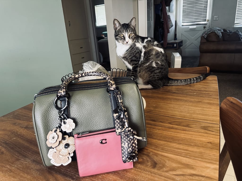 バッグ COACH Ruby Satchel 25 Pebble Leather Bag Ruby Satchel 25 In Colorblock | Bags | Coach | COACH®