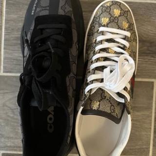 プロフ必読様 CITYSOLE SIG MESH RN ATLANTIC 6 B プロフ必読様 CITYSOLE SIG MESH RN ATLANTIC 6 B プロフ必読様