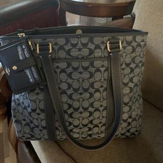 Hudson Double Handle Tote Bag With Diary Embroidery | COACH®