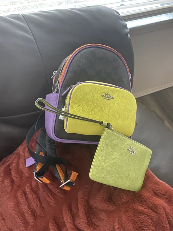 Mini Court Backpack In Signature Canvas With Butterfly | COACH®