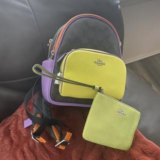Mini Court Backpack In Signature Canvas With Butterfly | COACH®