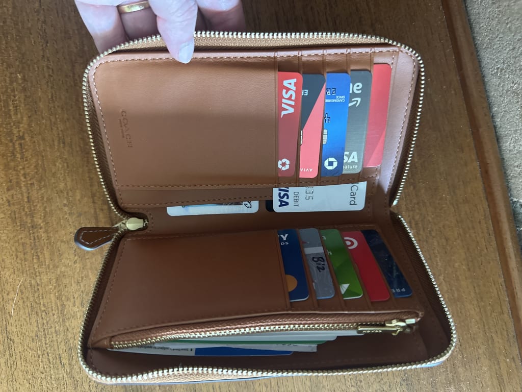 Medium Zip Around Wallet With Rexy And Carriage | COACH®