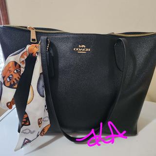 TTIMPORTER_1718122376891_PZ320.jpg