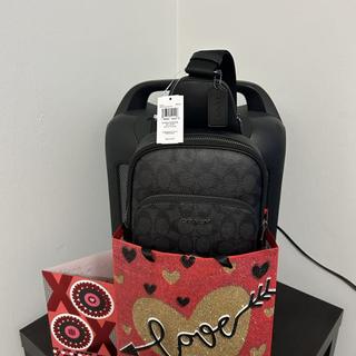 Ethan Pack In Signature Leather | Bags | Coach | COACH®