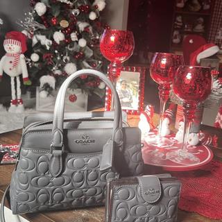 Mini Darcie Carryall Bag In Signature Canvas With Floral Applique