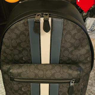 coach backpack with stripe West Bag In Signature Canvas Varsity CV922 Details Our Signature canvas and refined leather West pack with Sporty Varsity stripe is a compact design with room to carry daily essentials Coach large varsity stripe backpack