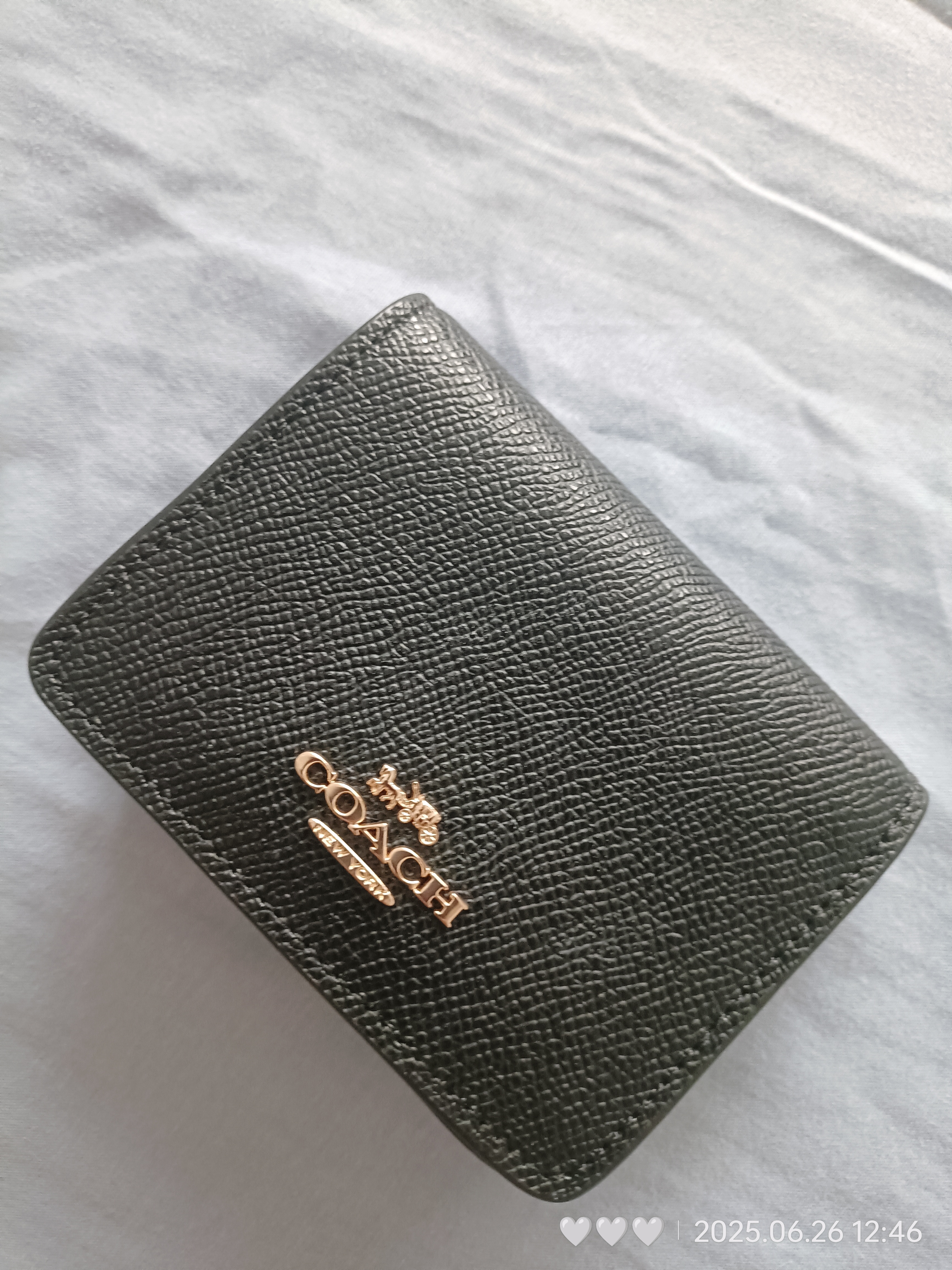 Mini Wallet On A Chain With Sparkly Butterfly Print | Accessories