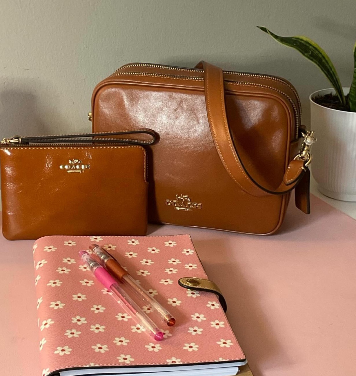 Carey Crossbody Bag | Bags | Coach | COACH®