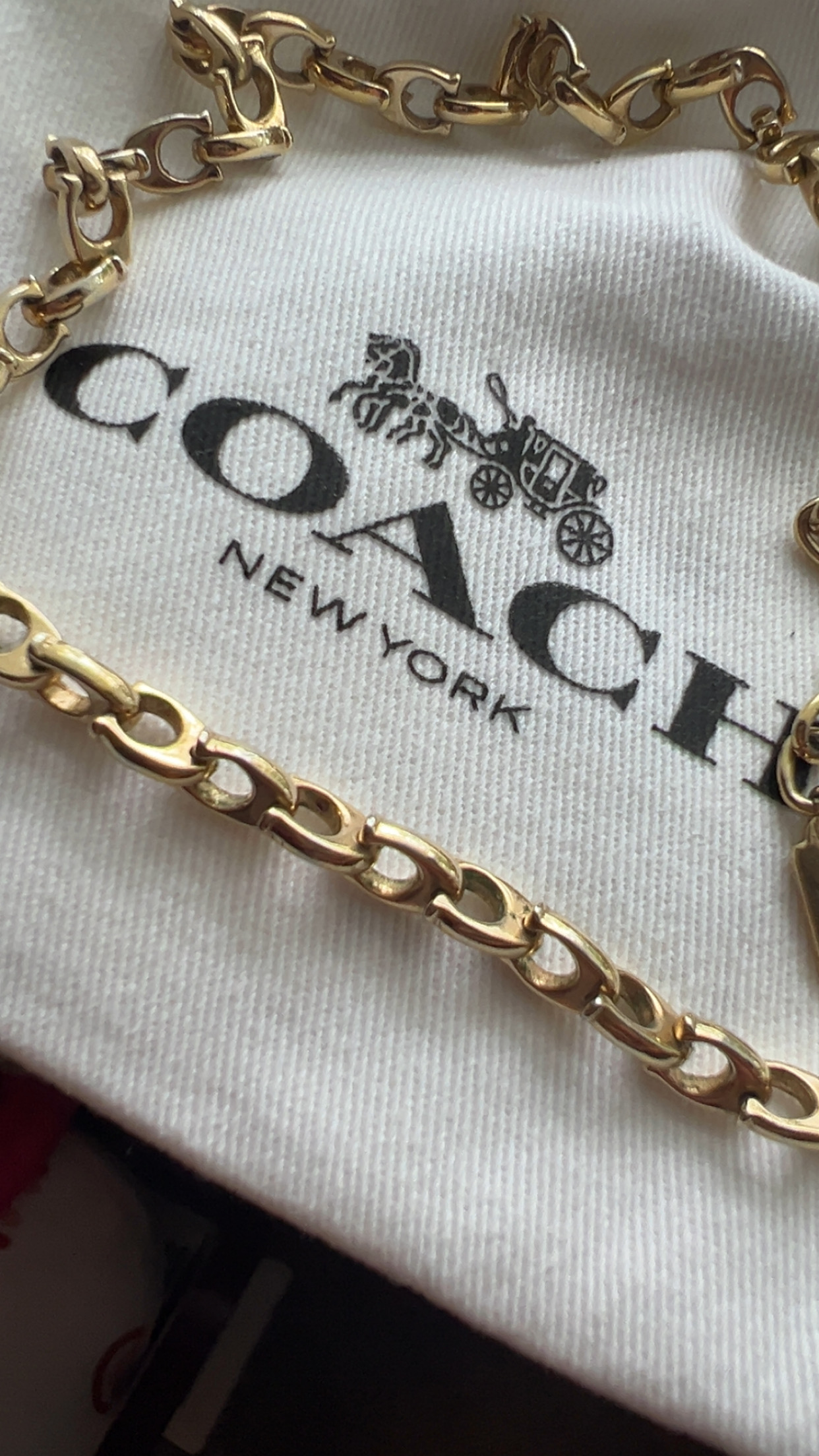 ロイヤルオーダー　C-CHAIN　Choker　SN05　20inch　50cm 楽天市場】ロイヤルオーダー【公式】【ネックレス】-C- CHAIN