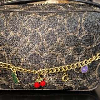 Mini Carey Crossbody Bag In Signature Canvas | Bags | Coach | COACH®