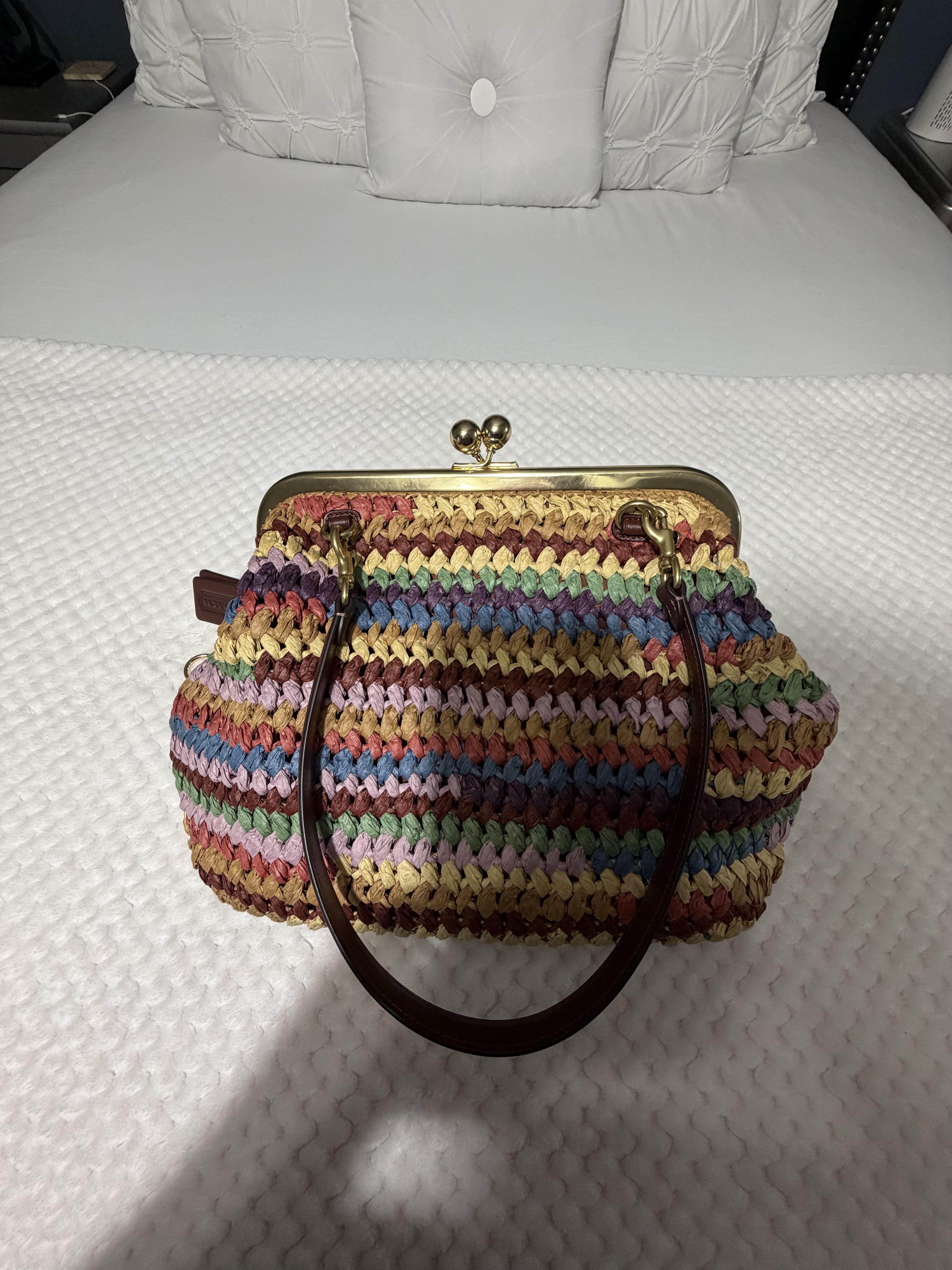 Kisslock Frame Bag 27 | COACH®