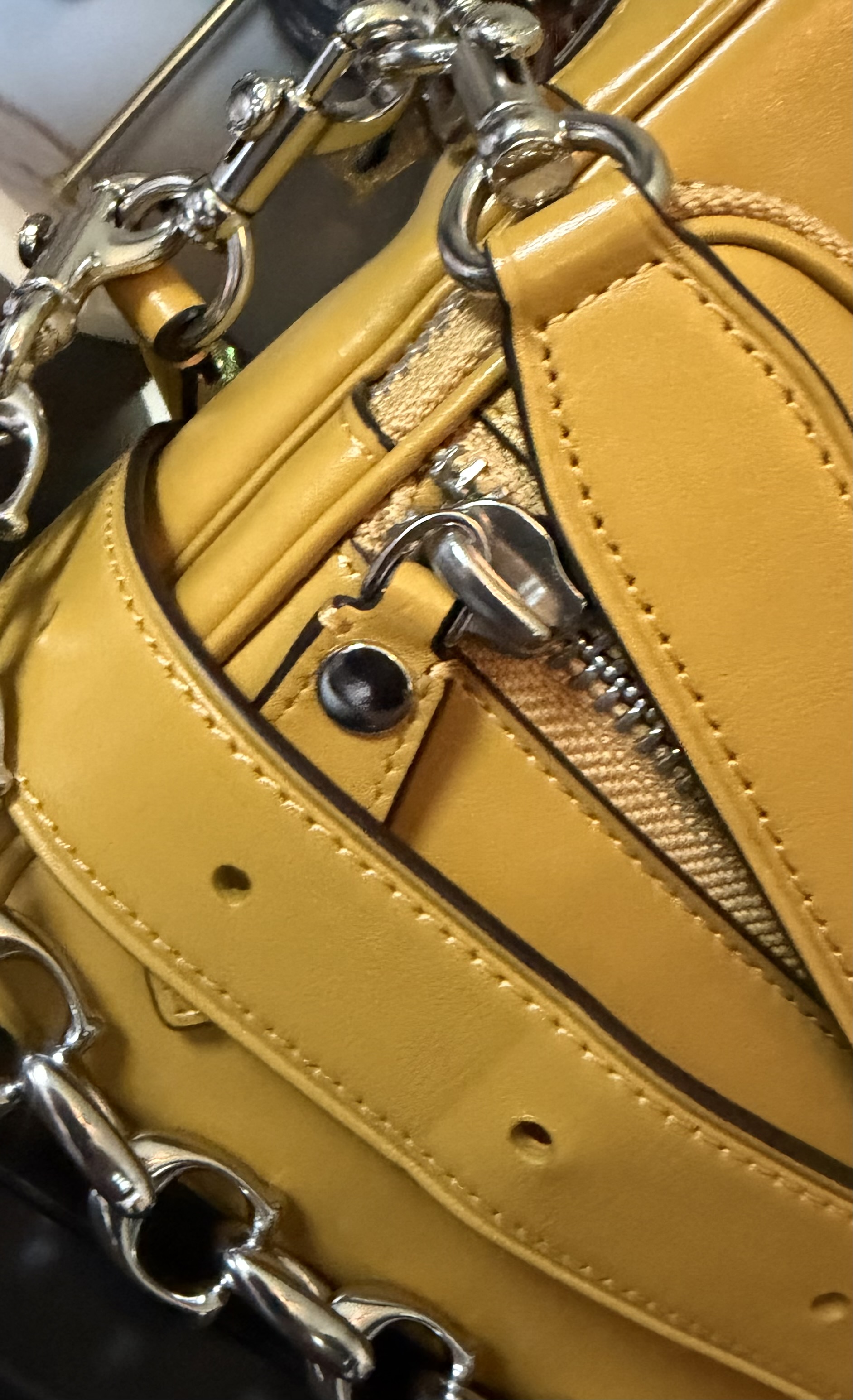 【限定値下げ】COACH オールレザー レキシントン Rexy 10th Birthday Dakota Crossbody Bag In Loved Leather With