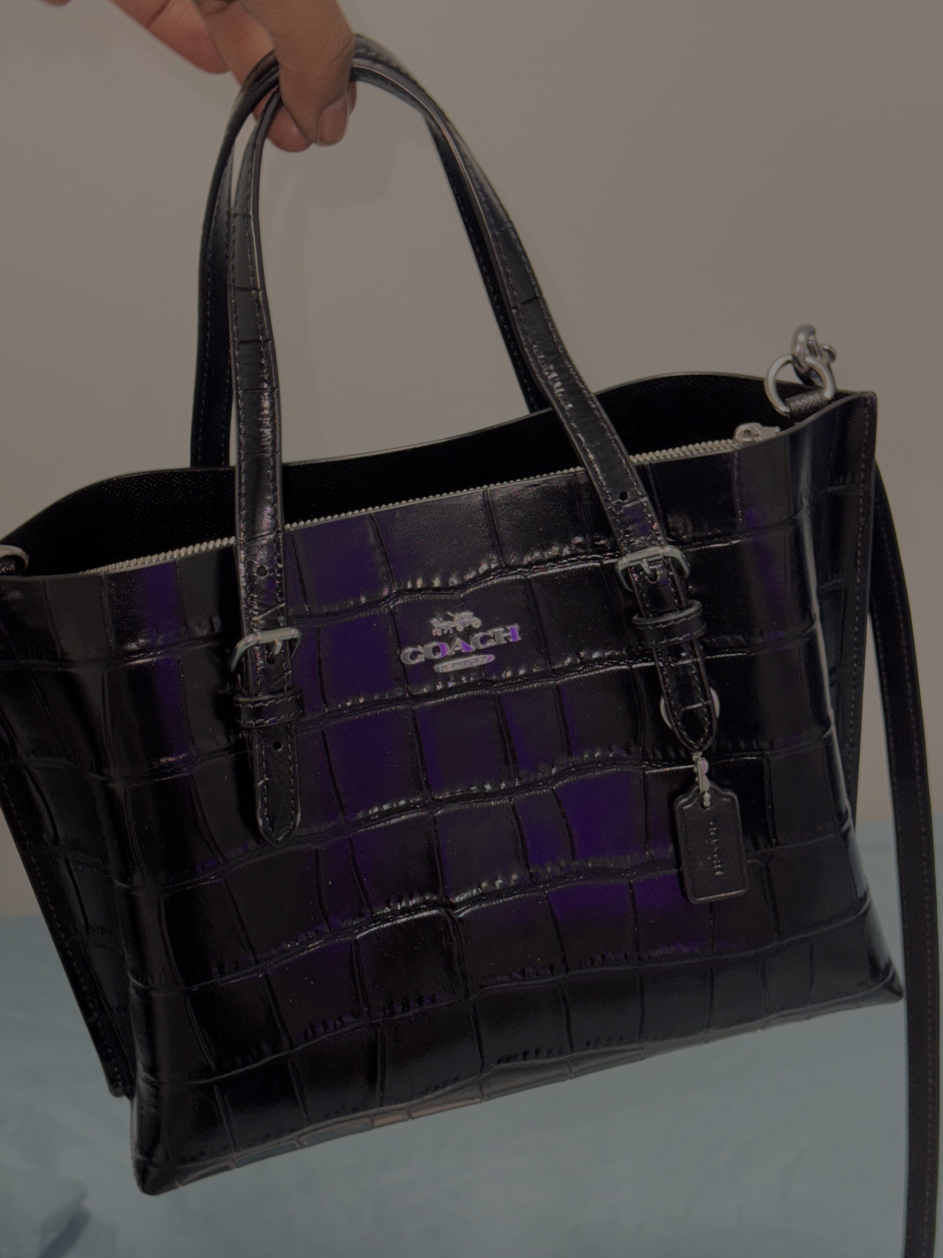 Mollie Tote Bag 25 | Bags | Coach | COACH®