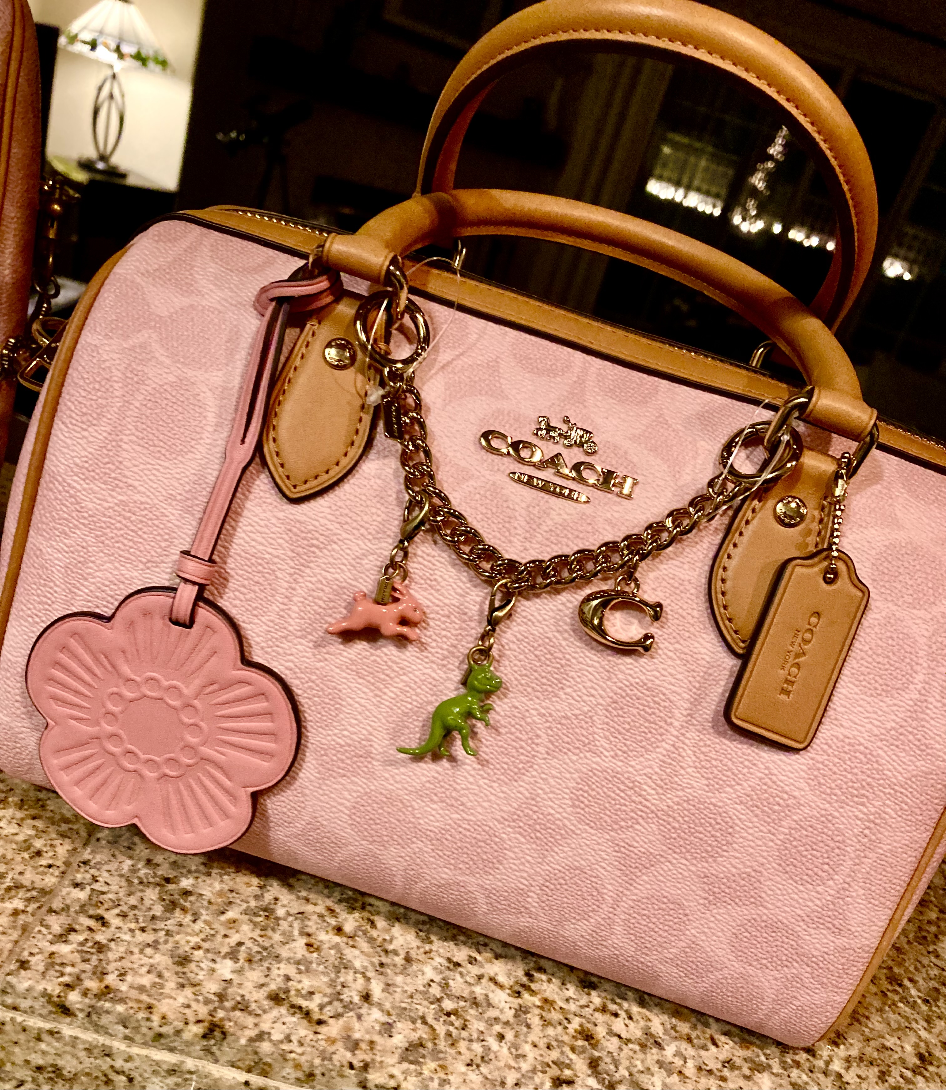 DIY Dinosaur Charm | Accessories | Coach | COACH®