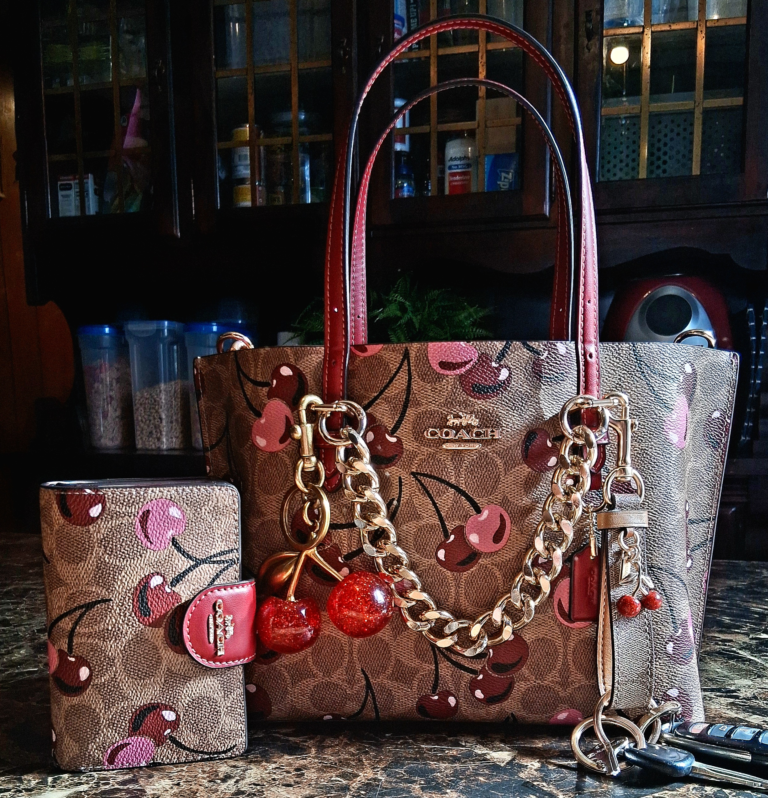 Mollie Tote Bag 25 | COACH®