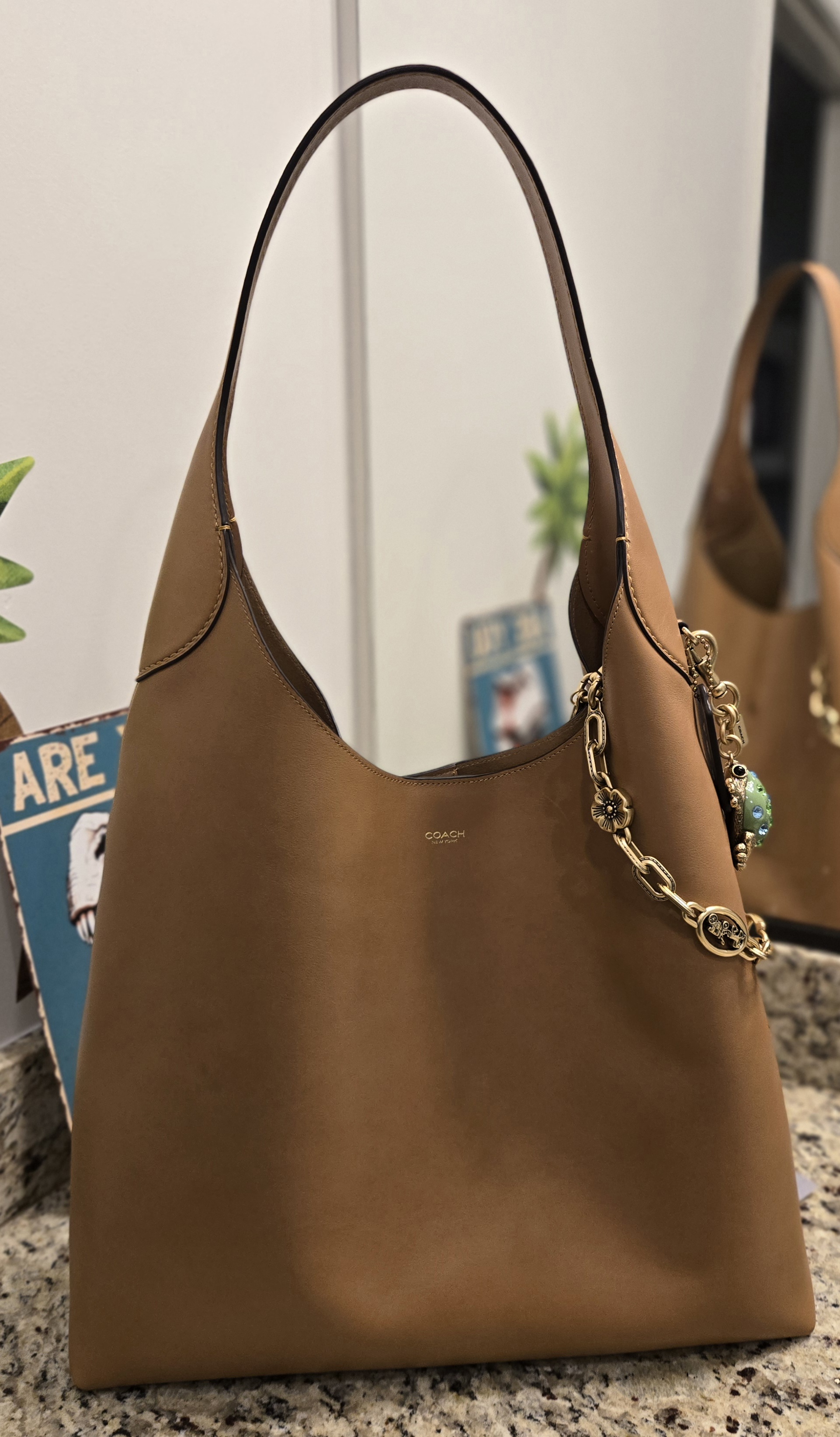 COACH® | Brooklyn Shoulder Bag 39