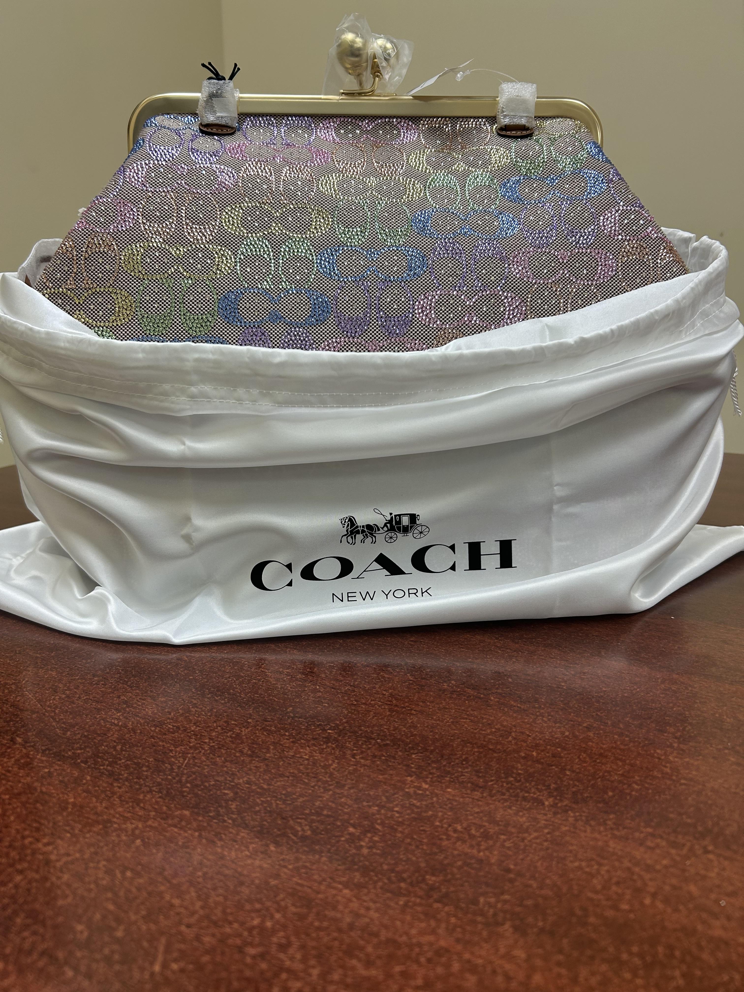 ◎美品◎ COACH スパンコール kisslock パーティバッグ シルバー Large Kisslock Frame Bag | Bags | Coach | COACH®