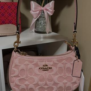 Teri Mini Crossbody Bag In Signature Leather | Bags | Coach | COACH®