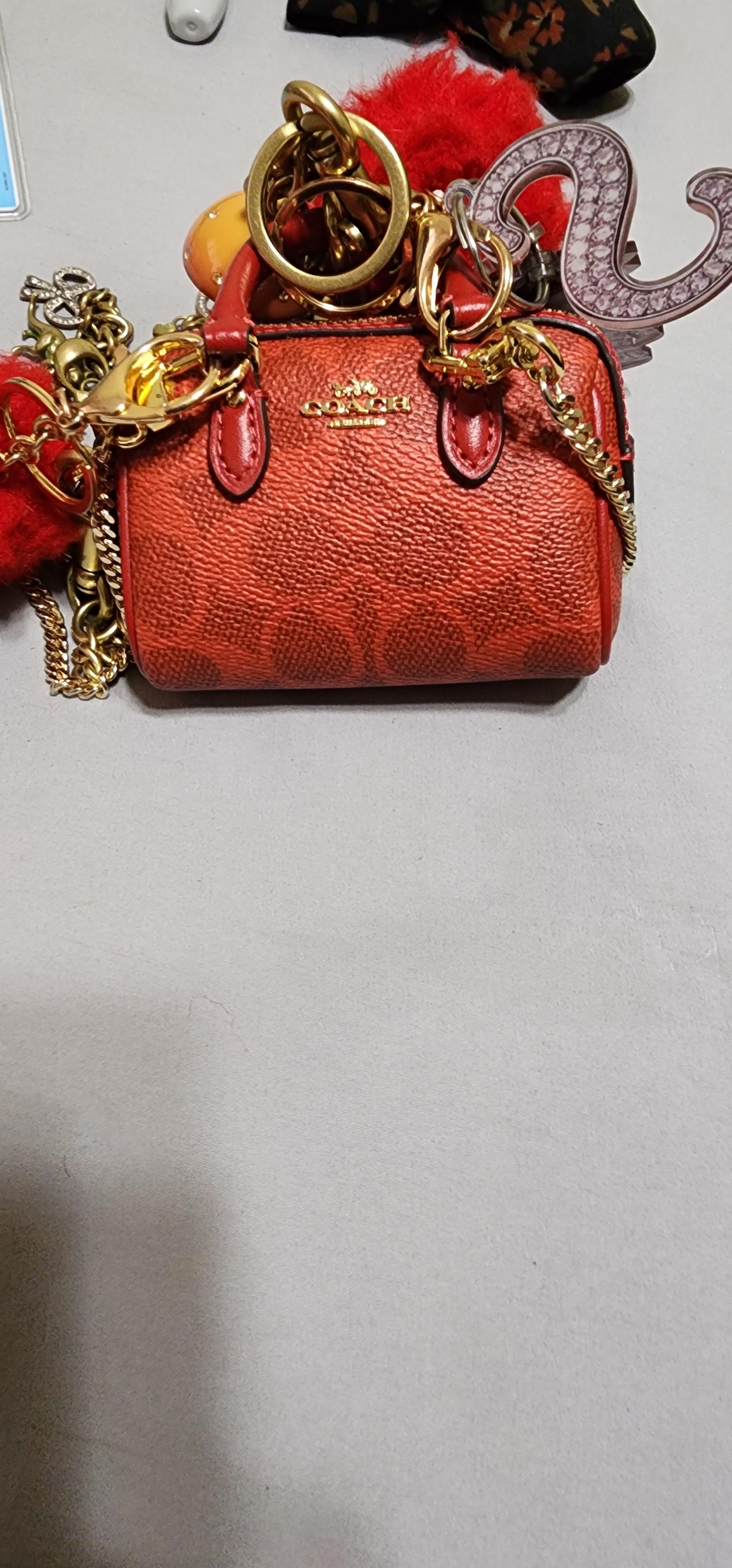 Mini Rowan Bag Charm In Signature Canvas | COACH®