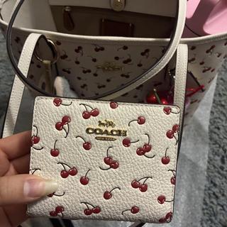 Snap Wallet In Rainbow Signature Canvas | COACH®