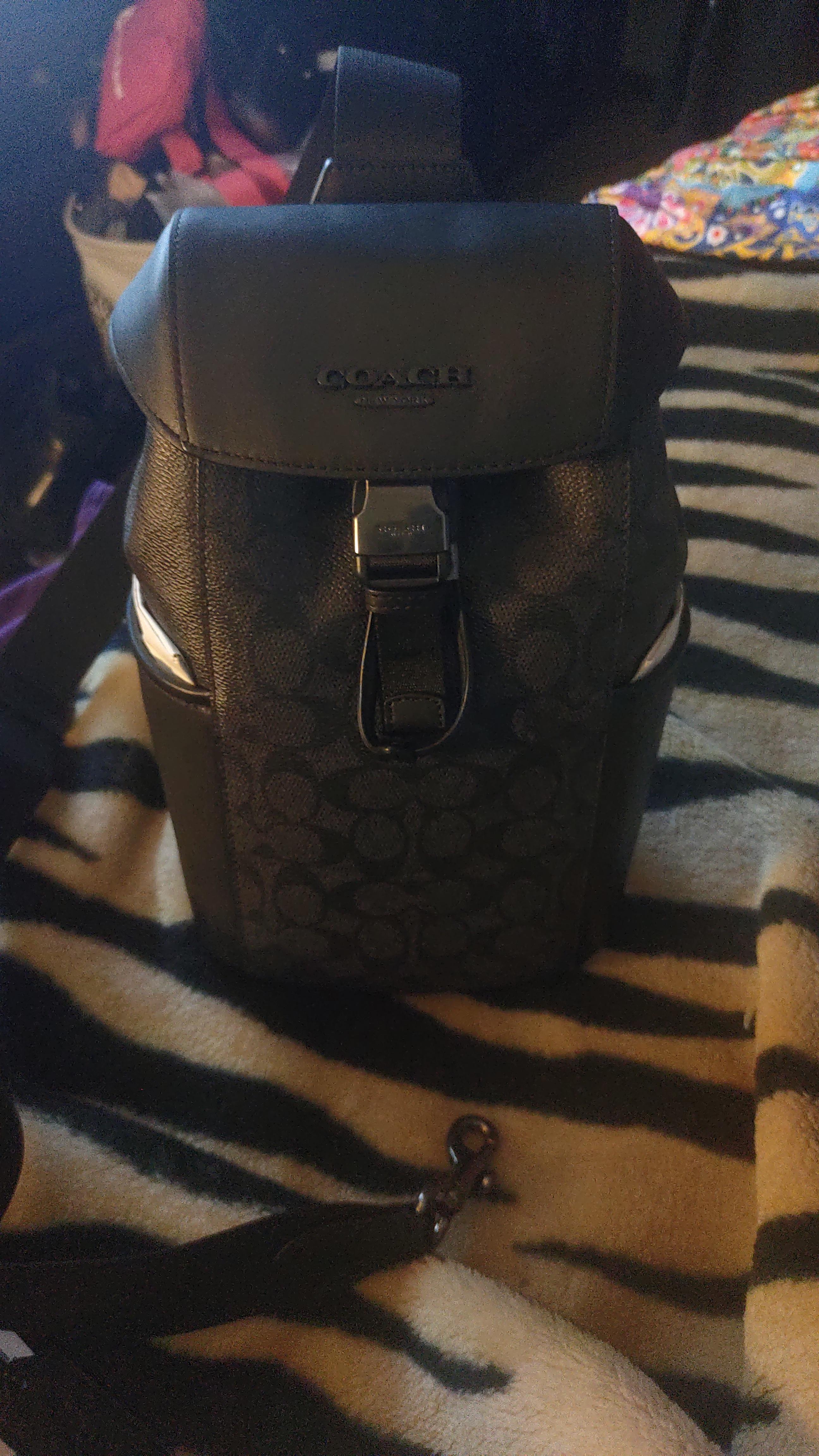 Racer Pack In Signature | Bags | Coach | COACH®