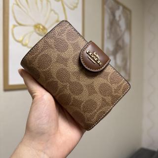 Medium Corner Zip Wallet | Wallets | Coach | COACH®