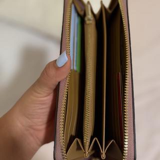 Long Zip Around Wallet In Signature Canvas With Coach Graphic
