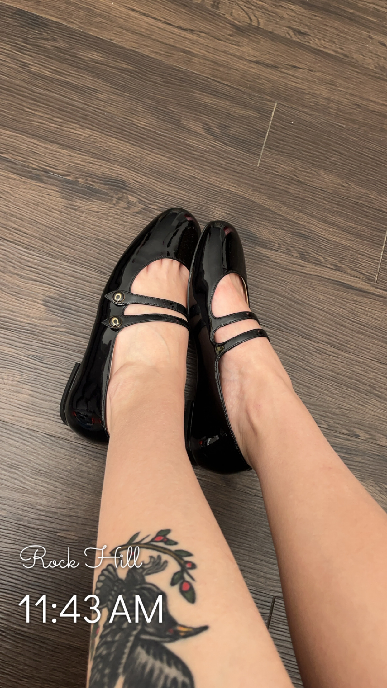 ★COACH★K-POPアイドル愛用★Winley Mary Jane★フラット Amazon.com | Coach Women's Winley Mary Jane Flat, Merlot, 5