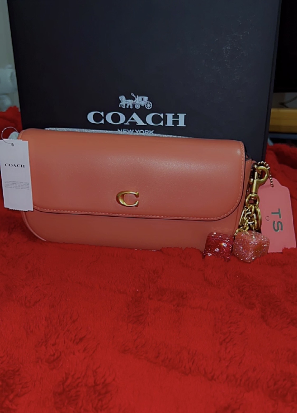 Brook Flap Chain Bag | COACH®