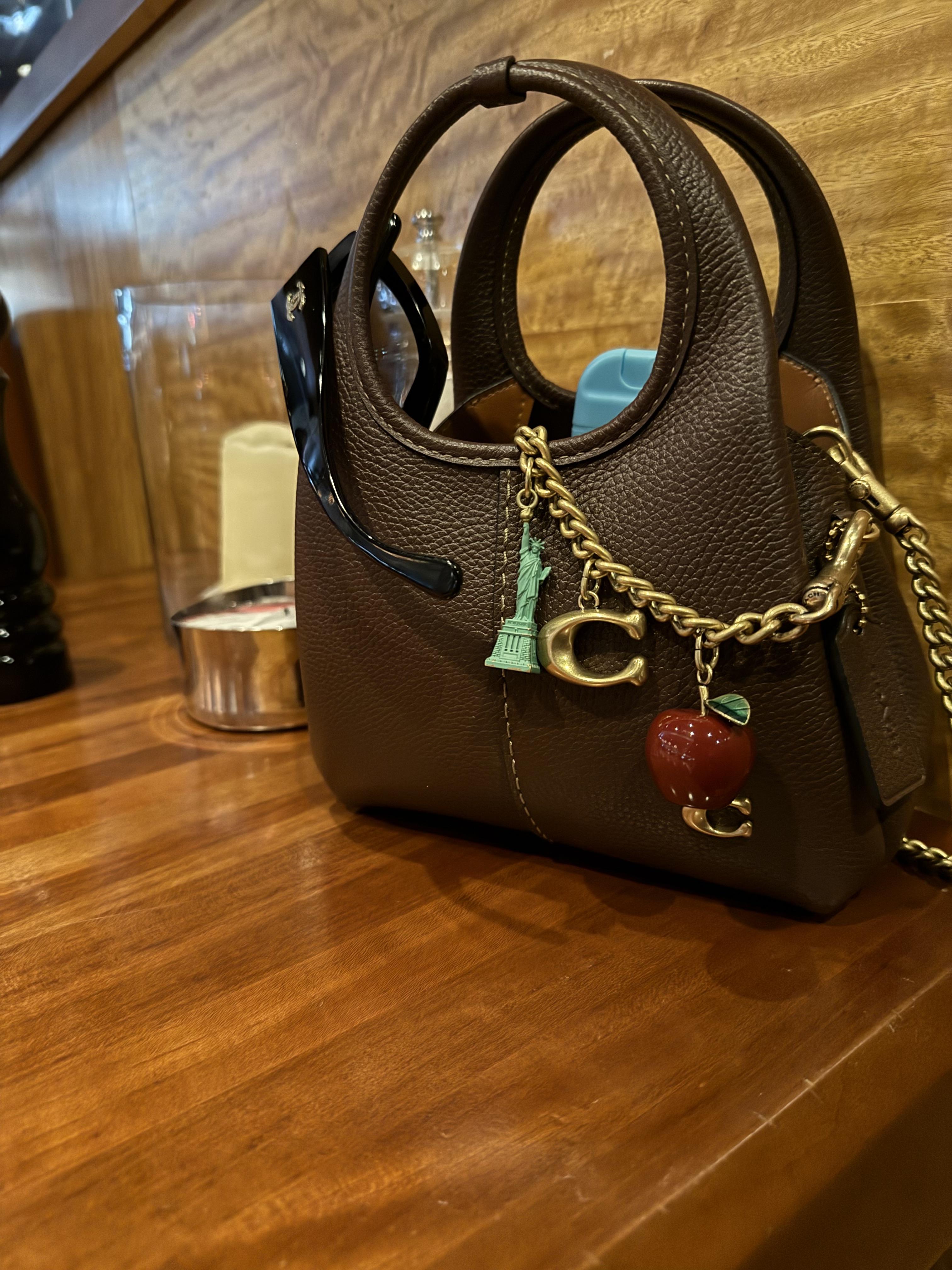 Lana Shoulder Bag 19 | Bags | Coach | COACH®