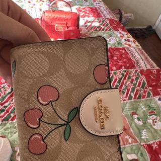 Medium Corner Zip Wallet In Signature Canvas With Kaffe Fassett