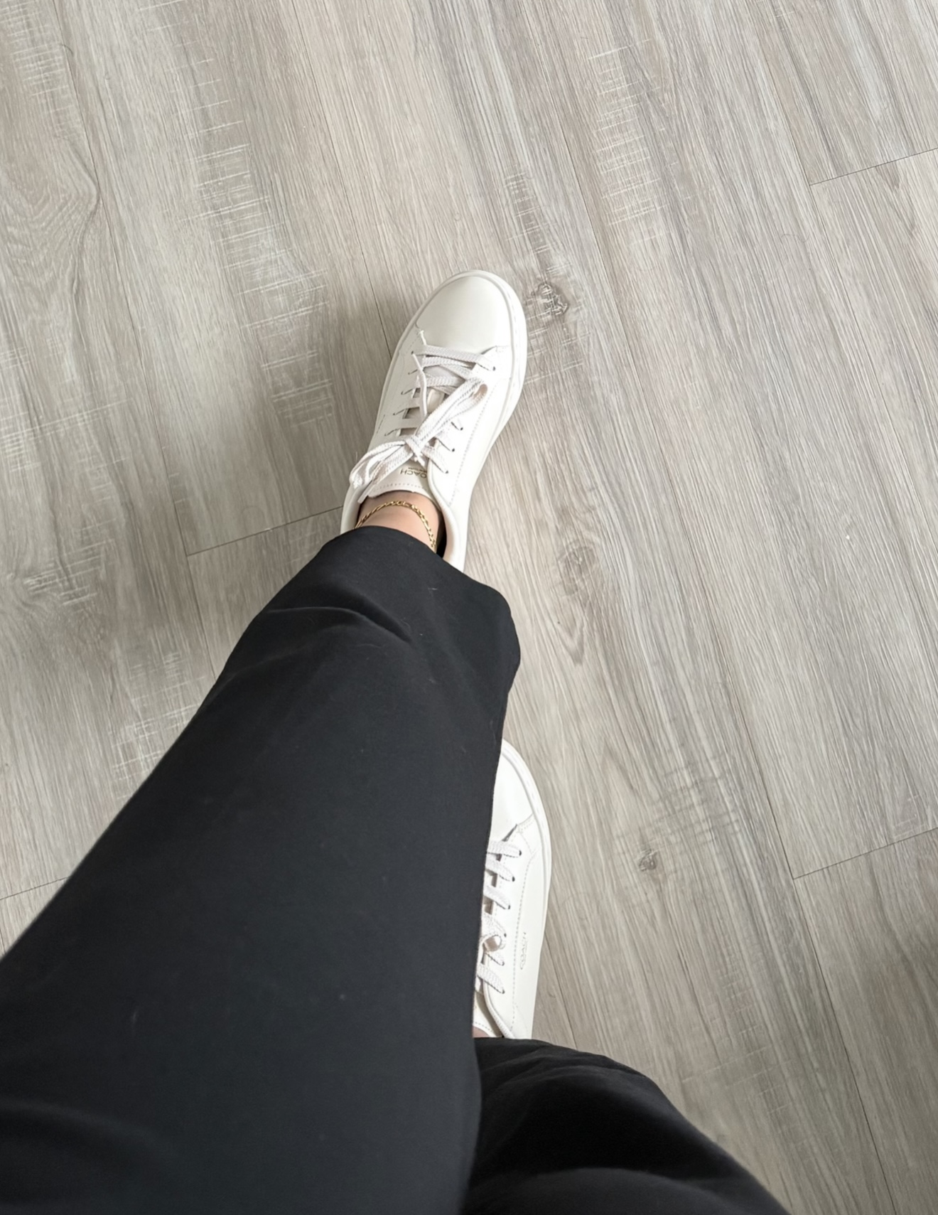 COACH® | High Line Sneaker