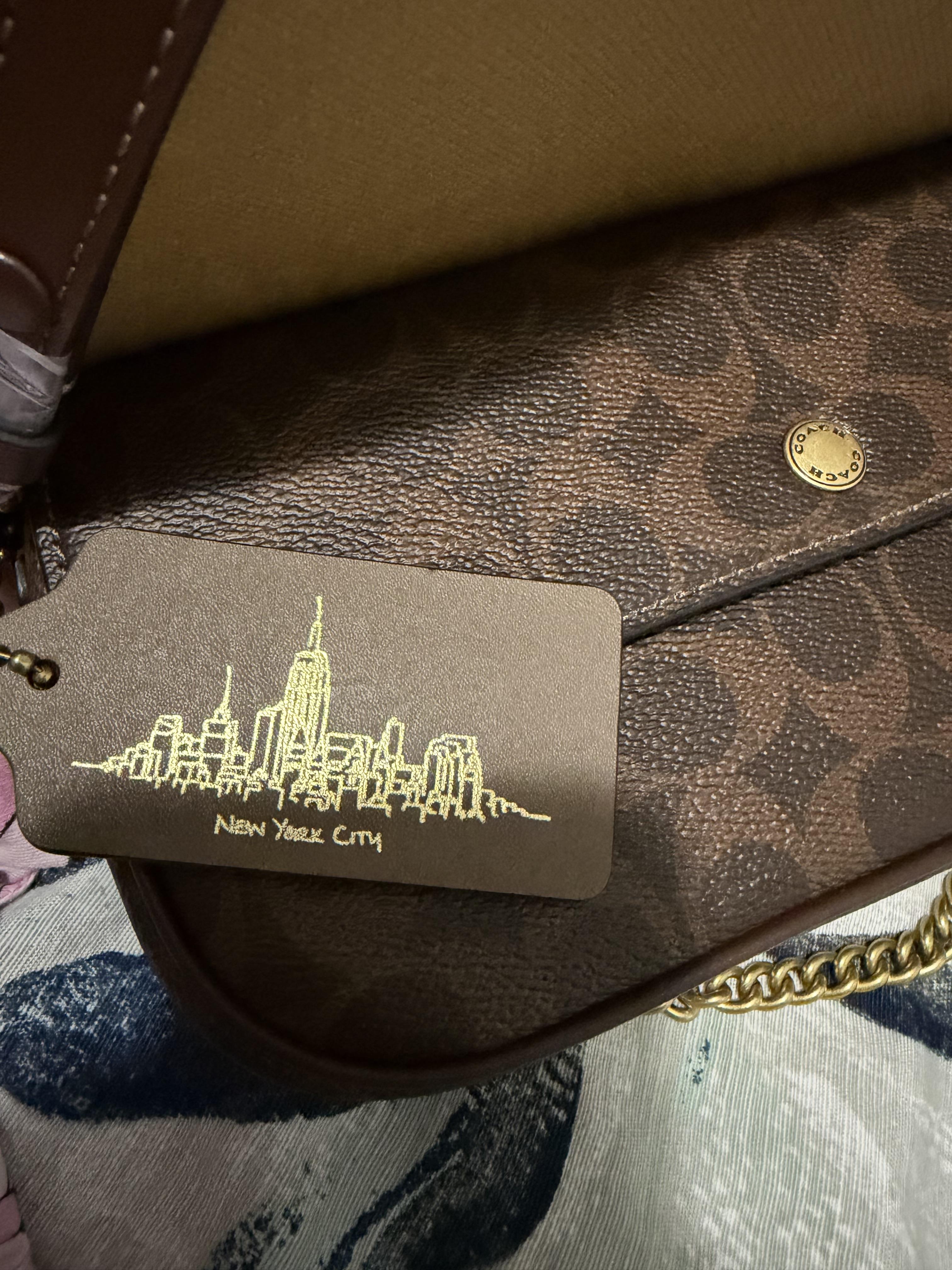 Brook Flap Chain Bag | Bags | Coach | COACH®