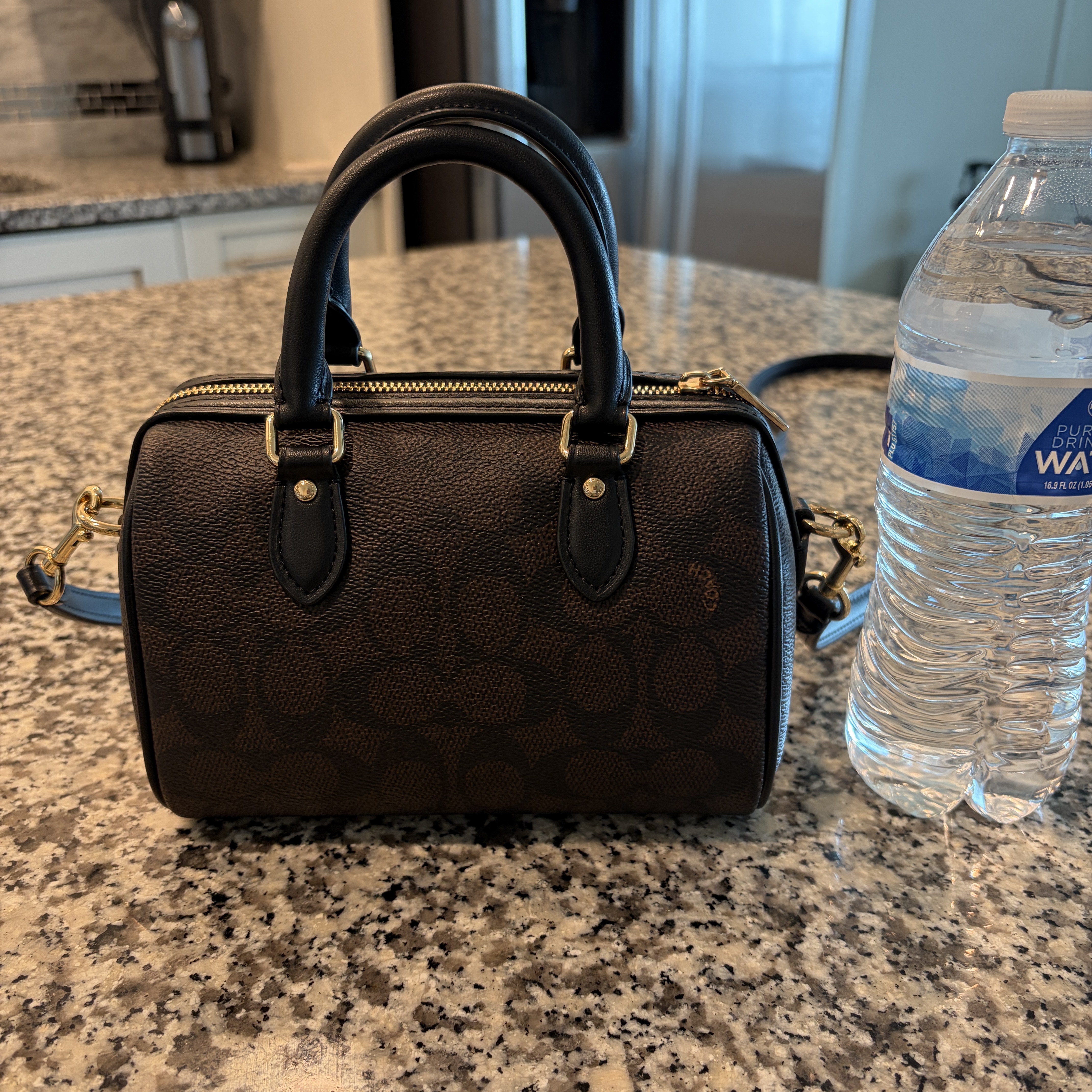 Mini Rowan Crossbody Bag In Loved Leather | Bags | Coach | COACH®