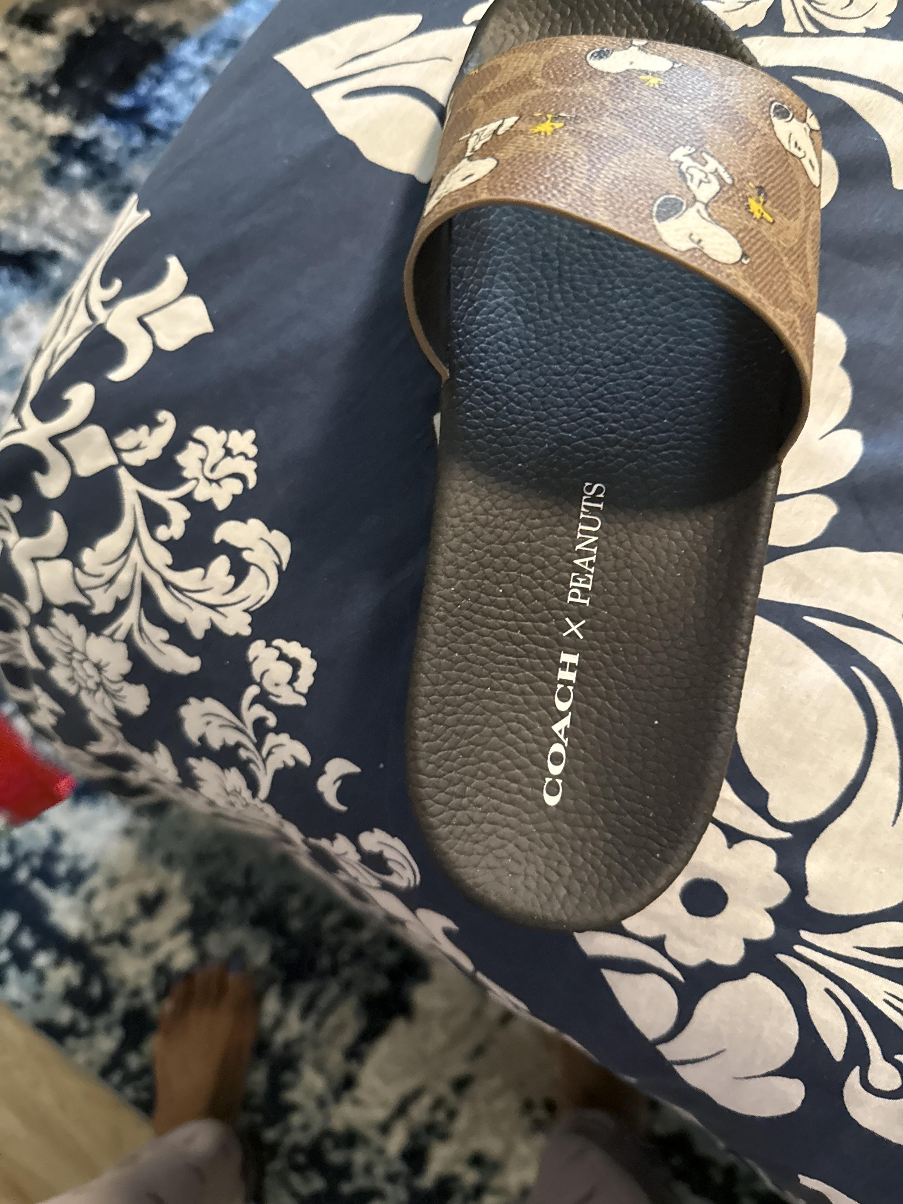 Coach X Peanuts Udele Sport Slide In Signature Canvas With Snoopy