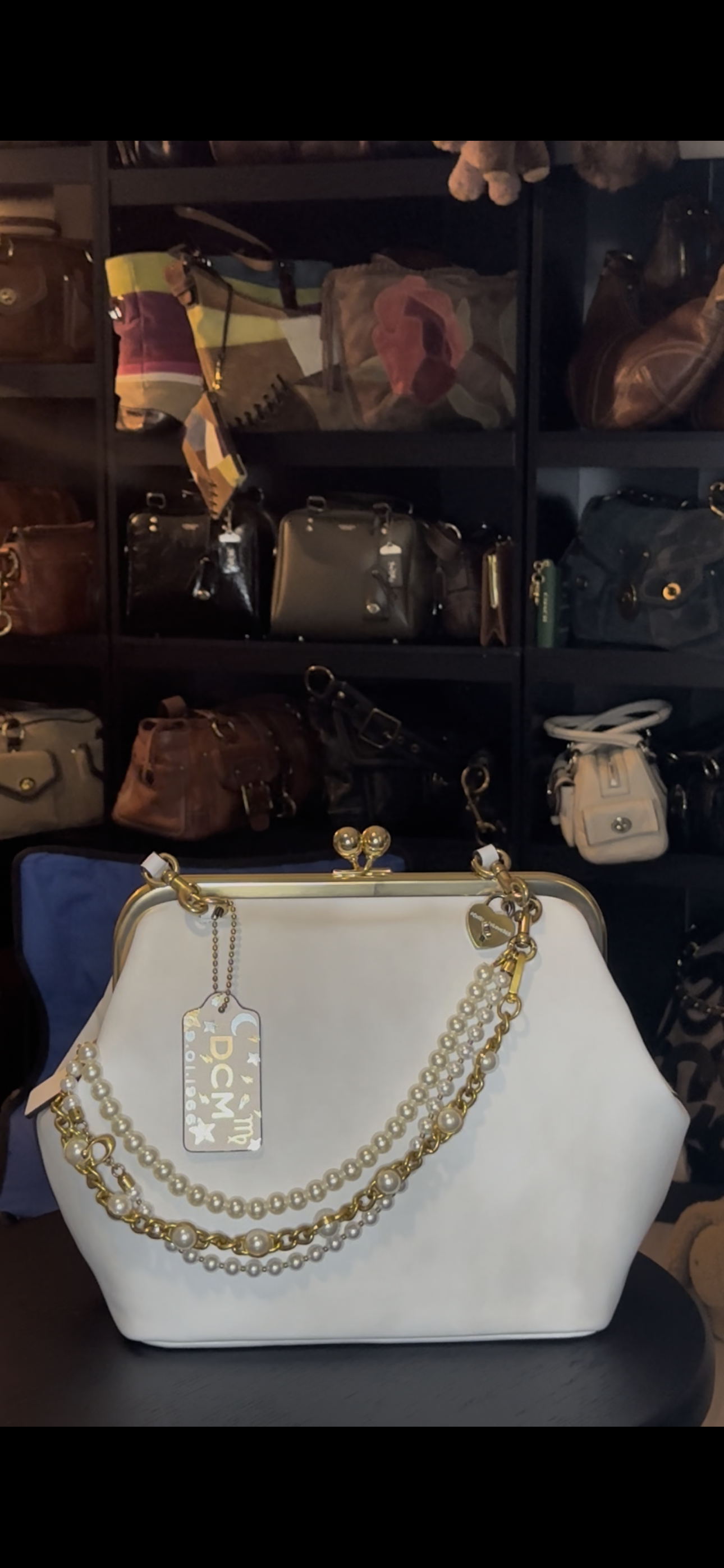 Kisslock Frame Bag 27 | Bags | Coach | COACH®