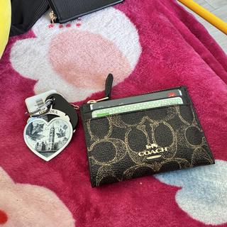 Mini Skinny Id Case In Signature Canvas With Floral Print