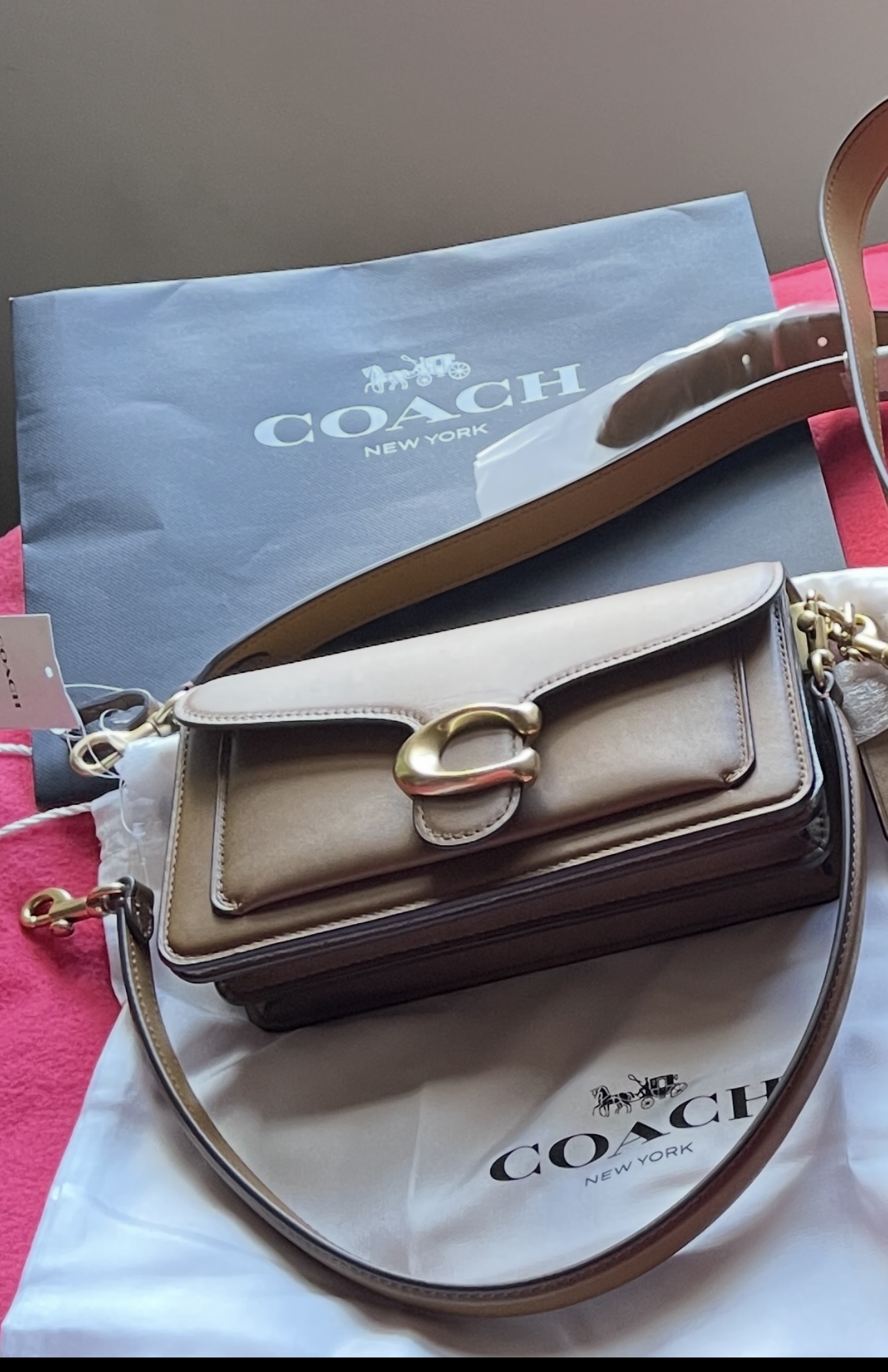 Tabby Shoulder Bag 20 With Cherry Embroidery | Bags | Coach | COACH®