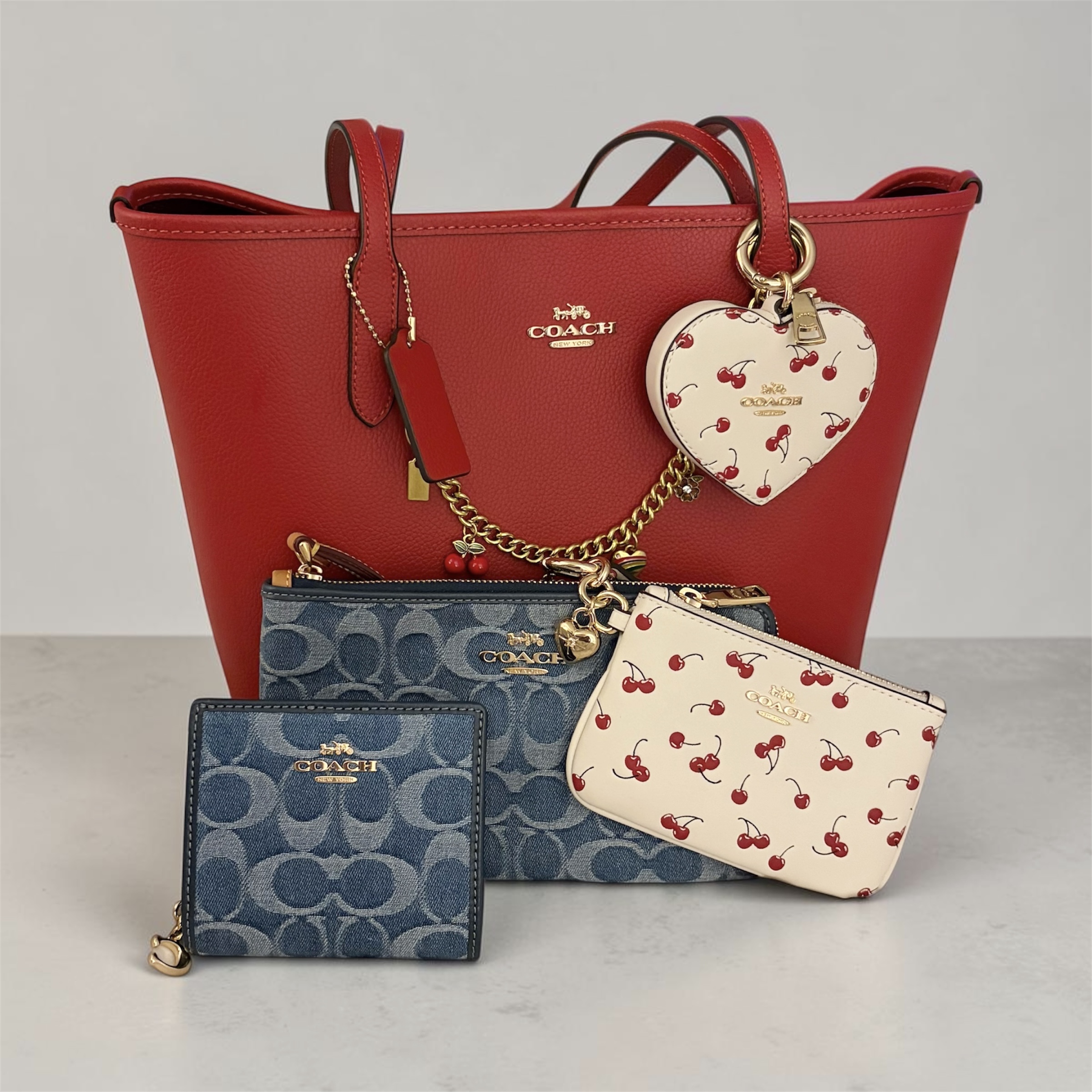 MEDIUM CITY TOTE BAG IN SIGNATURE CANVAS | Bags | Coach | COACH®